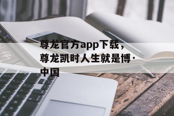 尊龙官方app下载，尊龙凯时人生就是博·中国